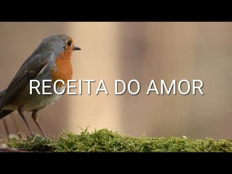 Receita do Amor