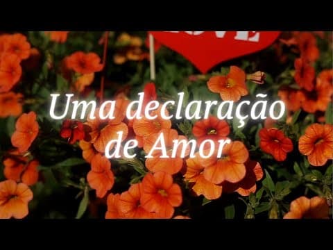 Uma declaração de Amor